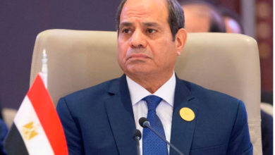 الرئيس السيسي يضع روشتة حل أزمة الدولار فى مصر