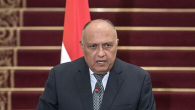 وزراء خارجية مصر وفرنسا والأردن يتفقون على ضرورة الوقف الفورى والدائم لإطلاق النار في قطاع غزة