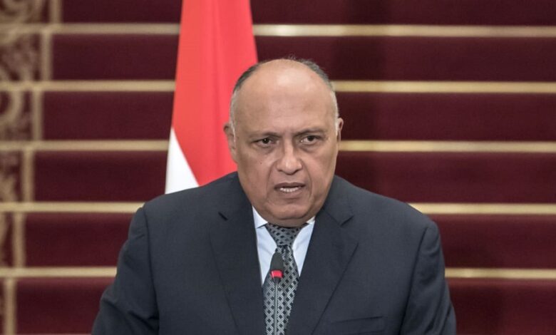 وزراء خارجية مصر وفرنسا والأردن يتفقون على ضرورة الوقف الفورى والدائم لإطلاق النار في قطاع غزة
