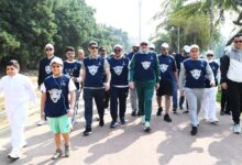 سفارة المملكة لدى مصر تنظم مسيرة «كات ووك» احتفاءً باليوم العالمي للنمر العربي