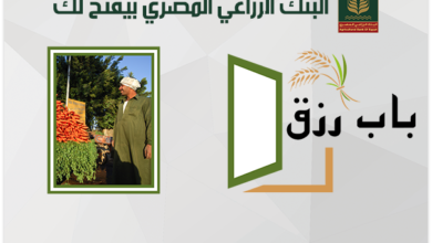 البنك الزراعي المصري بيفتحلك «باب رزق» لدعم وتمويل المشروعات متناهية الصغر