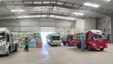 البنك الزراعي المصري يبدأ استلام محصول القمح من المزارعين والموردين بـ 190 موقعًا على مستوى الجمهورية