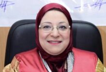 الدكتورة عزة الشربيني رئيساً لمعهد الوادي العالي للعلوم الإدارية والمالية ونظم المعلومات