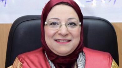 الدكتورة عزة الشربيني عميدًا لمعهد الوادي العالي للعلوم الإدارية والمالية ونظم المعلومات
